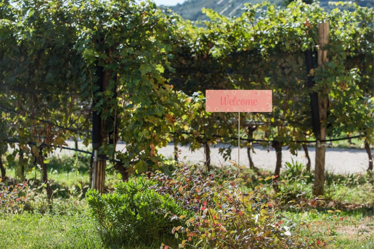 Maso Maroni Agriturismo Quinto di Valpantena Eksteriør billede